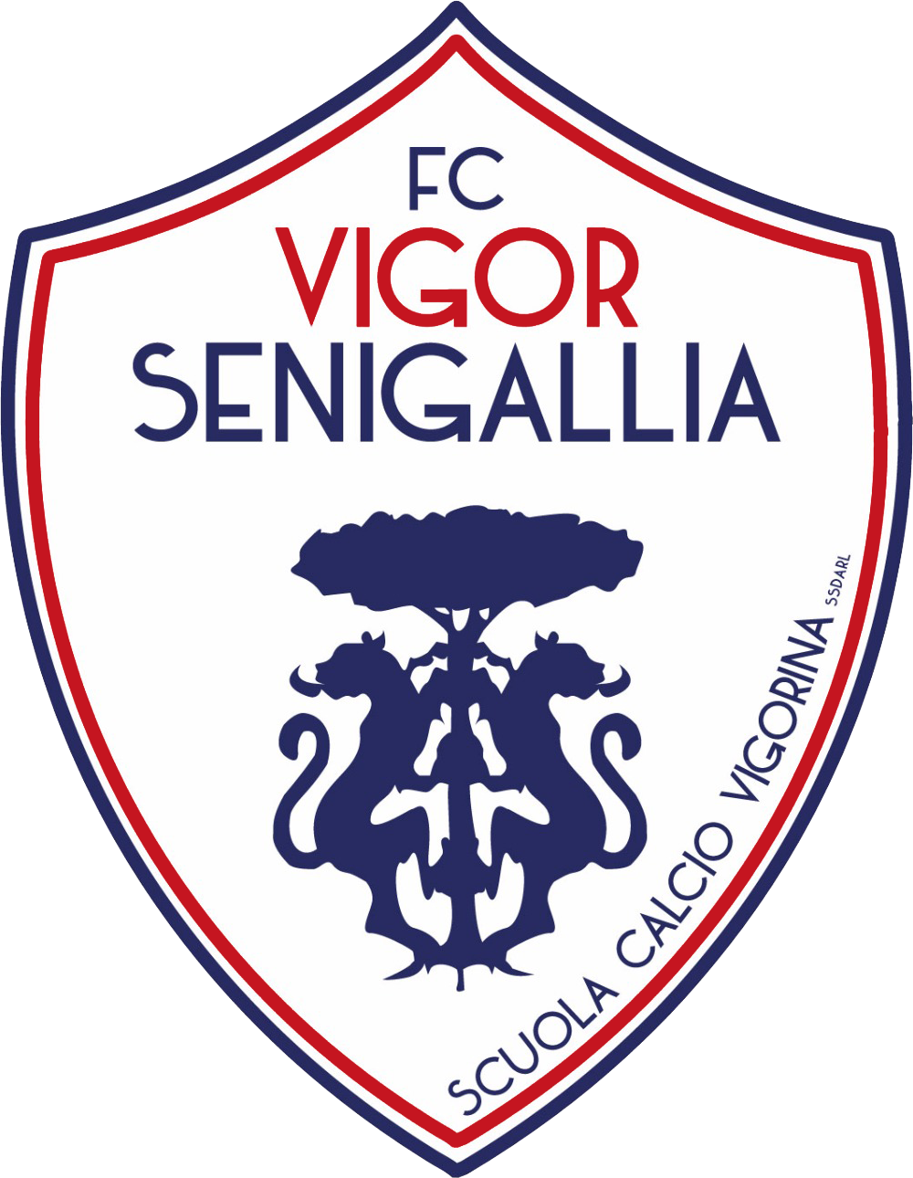 Logo nuovo FC Vigor Senigallia PNG